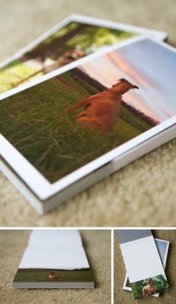 PET PHOTOGRAPHY NOTEPAD