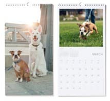 WALL CALENDAR