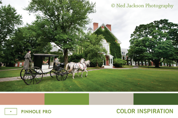 COLOR INSPIRATION: NED JACKSON PHOTOGRAPHY